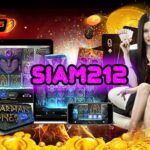 SIAM 212